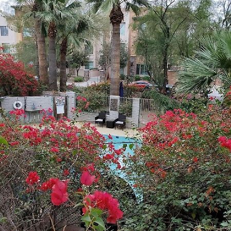 Desert Rose Villas - Private One Bedroom In Old Town Scottsdale Extérieur photo