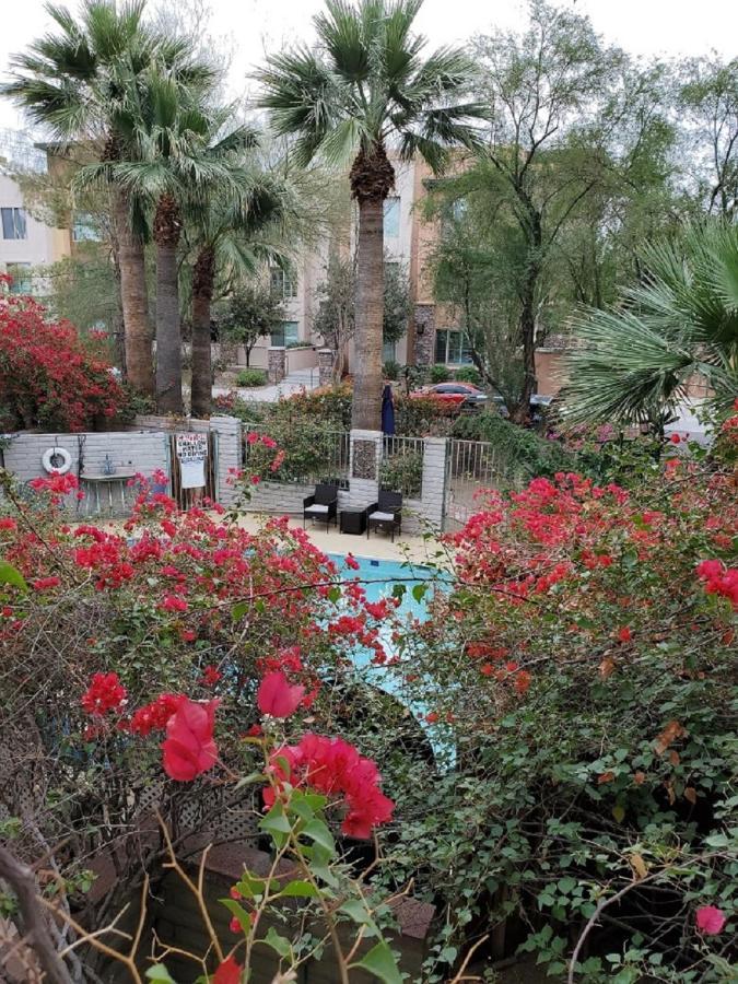 Desert Rose Villas - Private One Bedroom In Old Town Scottsdale Extérieur photo